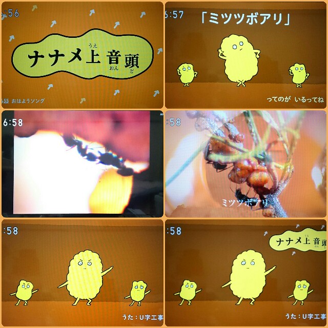 f:id:higeyahman:20211206092028j:image