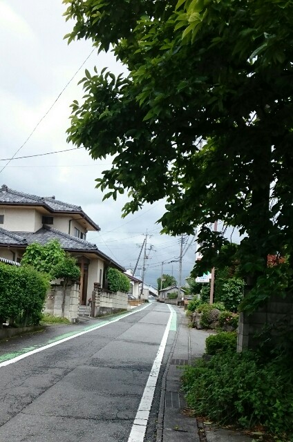 f:id:higeyahman:20220609171147j:image