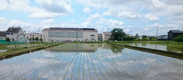 f:id:higeyahman:20220609171202j:image