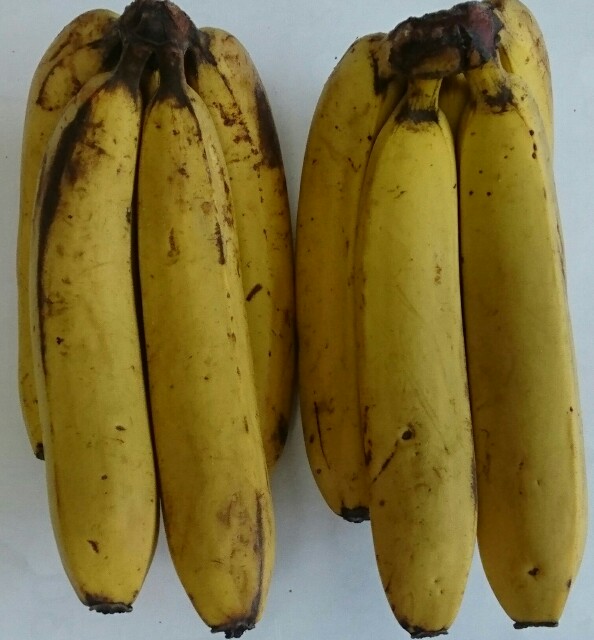 f:id:higeyahman:20220628071050j:image