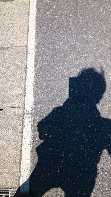 f:id:higeyahman:20220628105353j:image