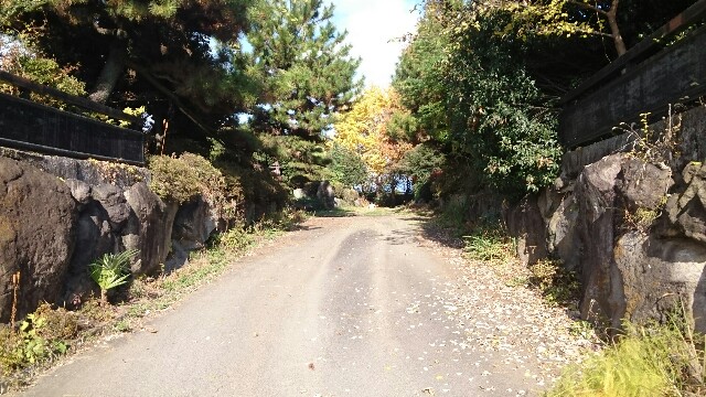 f:id:higeyahman:20221122182447j:image