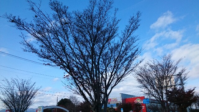 f:id:higeyahman:20221122182701j:image