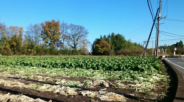 f:id:higeyahman:20221125182330j:image