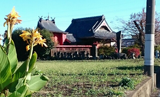 f:id:higeyahman:20221125182421j:image