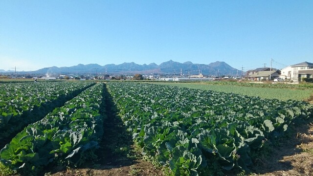 f:id:higeyahman:20221125182610j:image