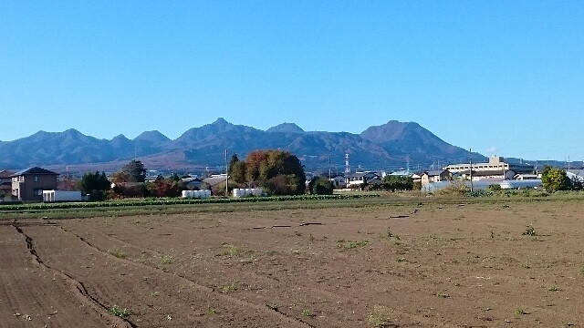 f:id:higeyahman:20221125182631j:image