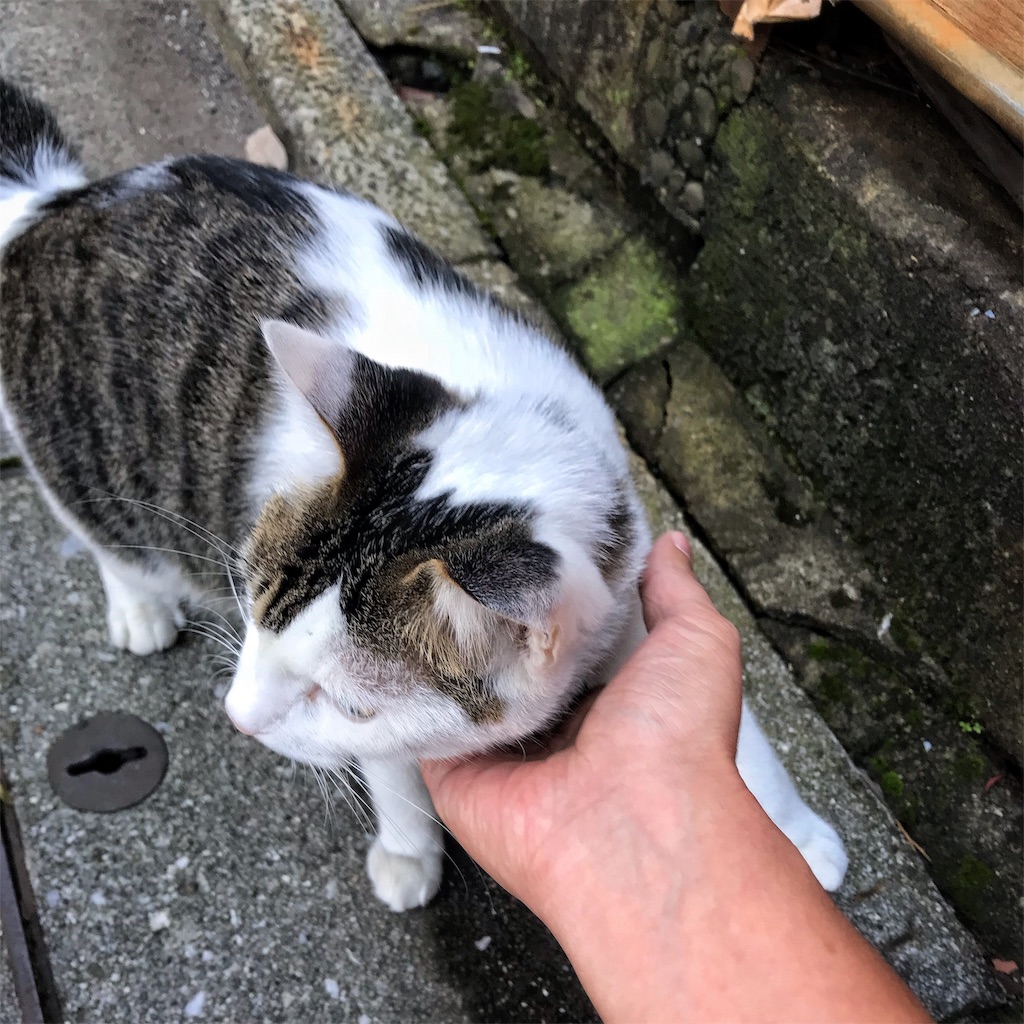 f:id:high-ho:20181023151152j:image