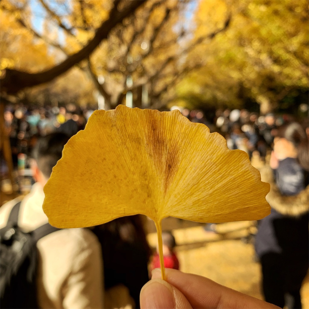 f:id:high-ho:20181202182906j:image