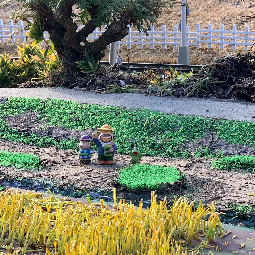 f:id:high-ho:20190105092846j:image