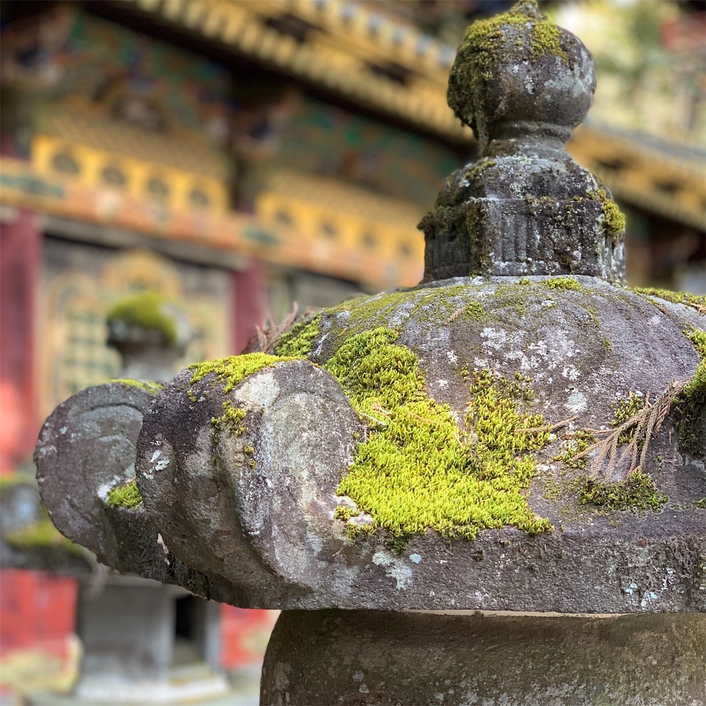 f:id:high-ho:20190106094625j:image