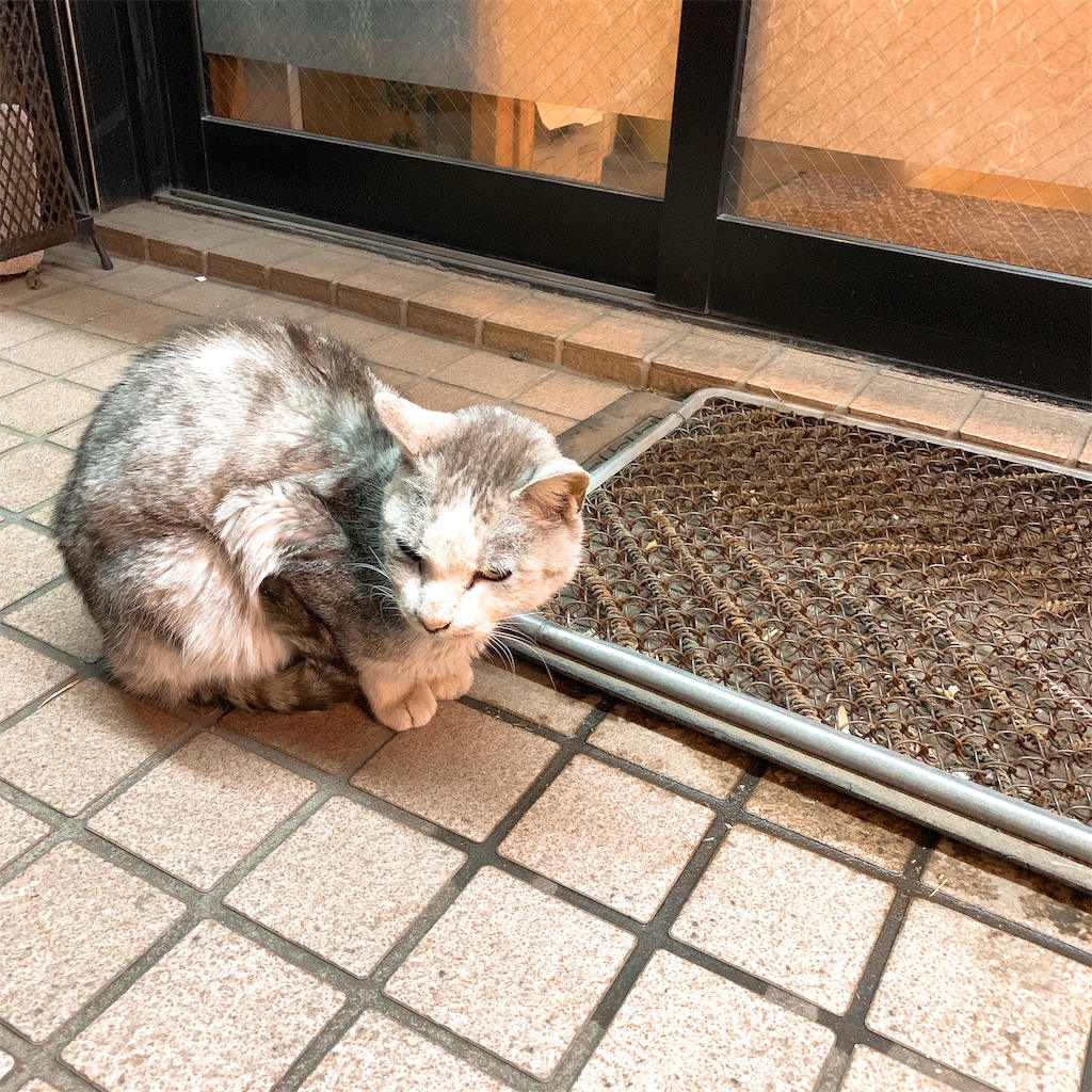 f:id:high-ho:20190129191120j:image