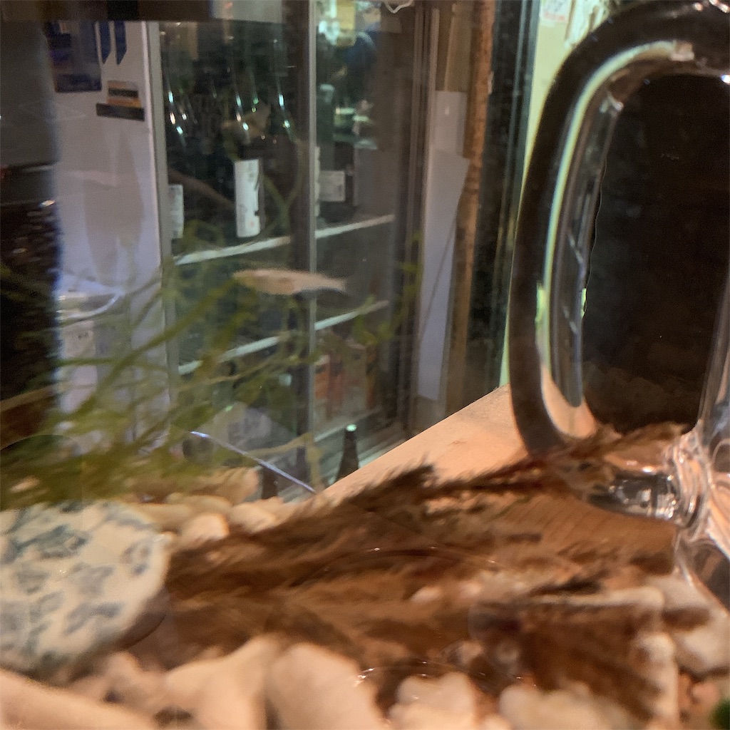 f:id:high-ho:20190429100959j:image