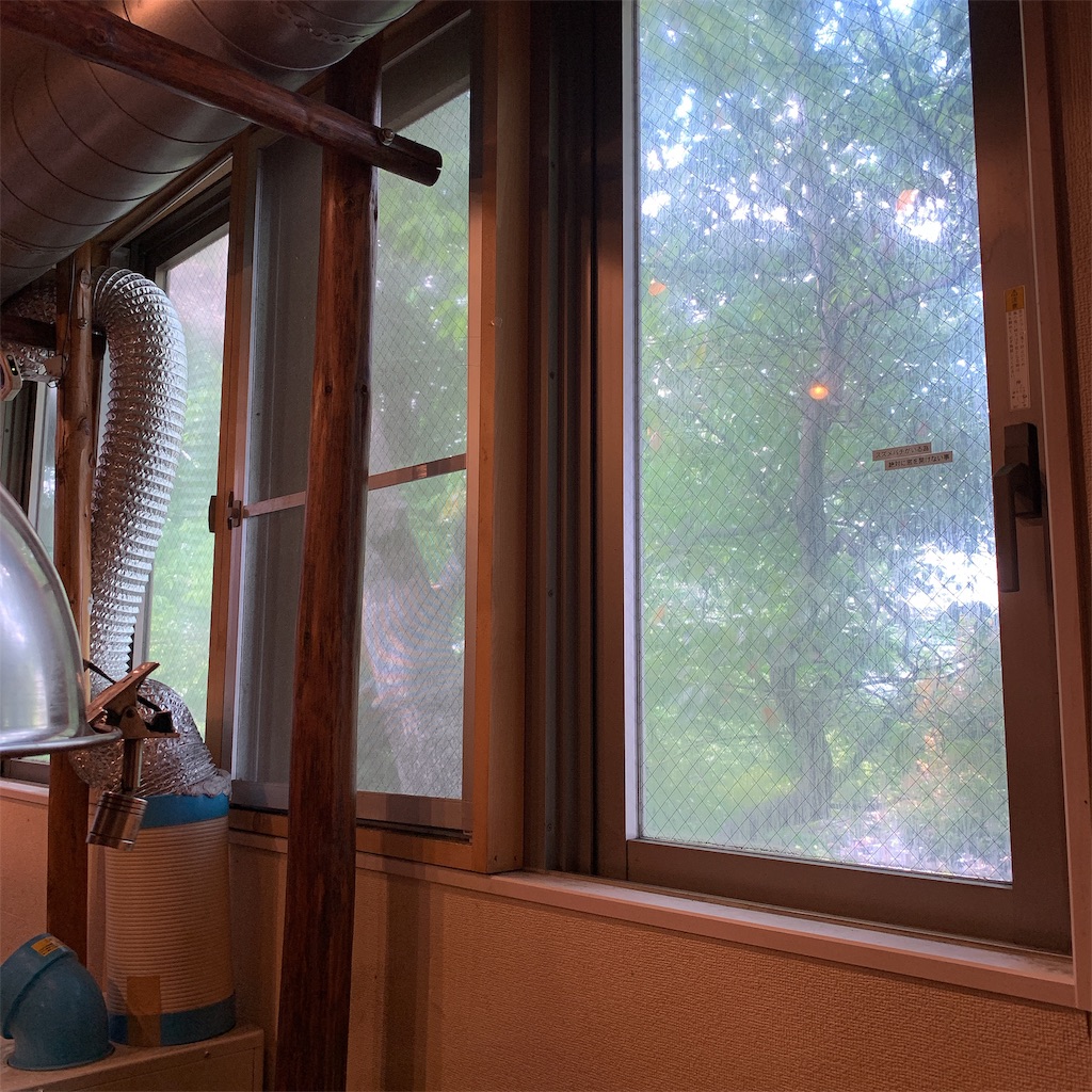 f:id:high-ho:20190611222636j:image