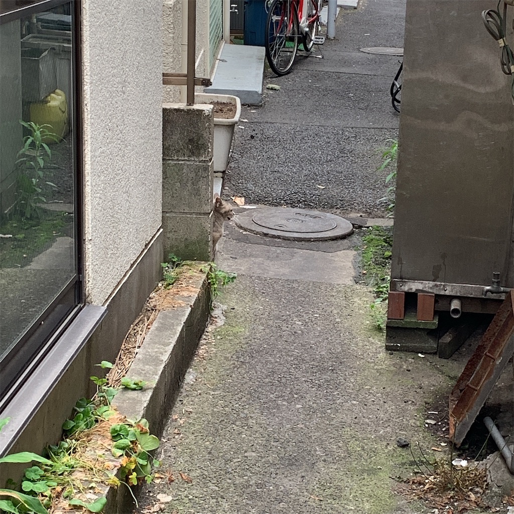 f:id:high-ho:20190612190930j:image f:id:high-ho:20190612190930j:image