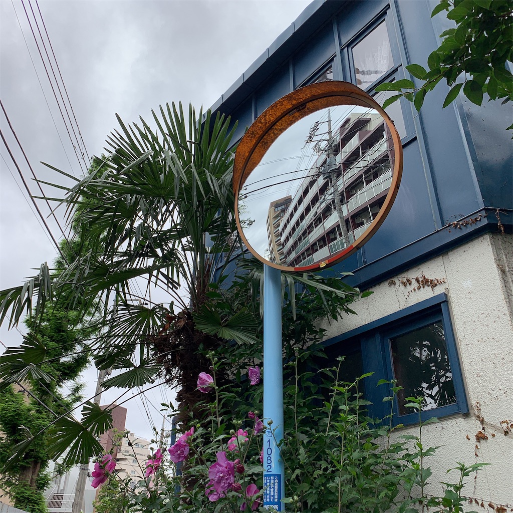 f:id:high-ho:20190704192342j:image