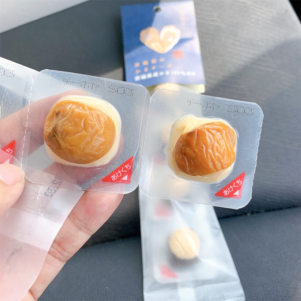 f:id:high-ho:20190805065616j:image