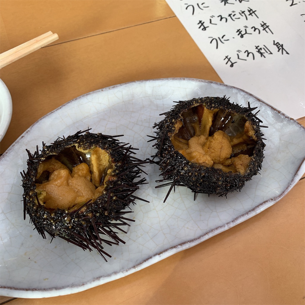 f:id:high-ho:20190805200825j:image