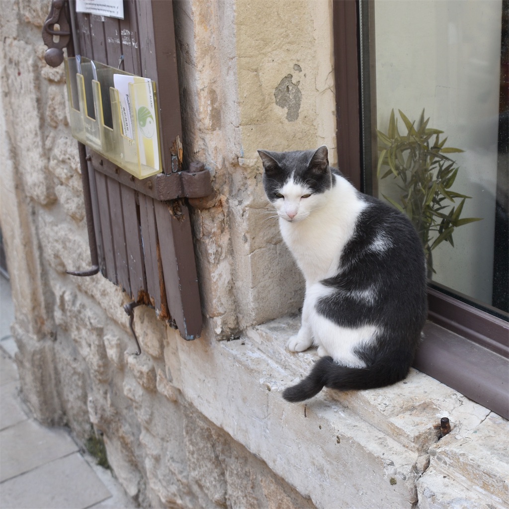 f:id:high-ho:20191006115635j:image