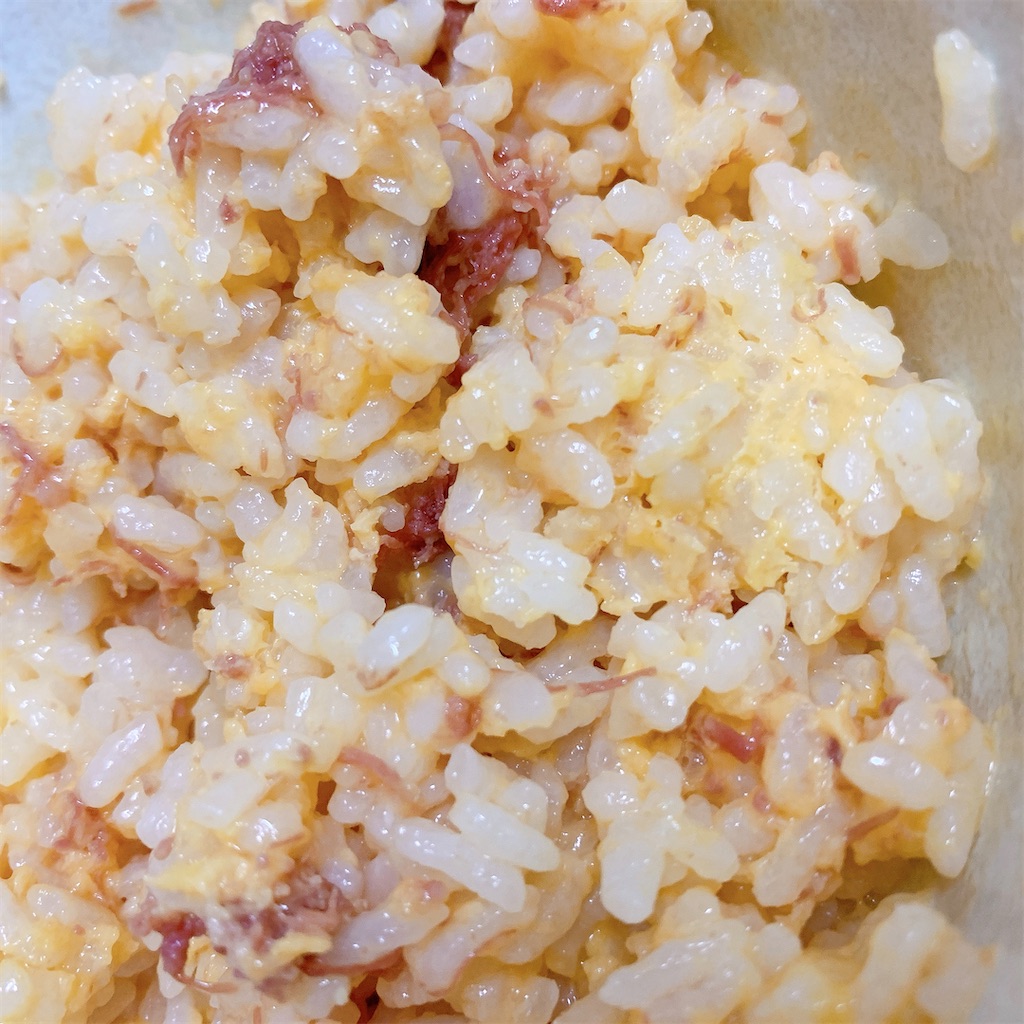 f:id:high-ho:20200426200405j:image