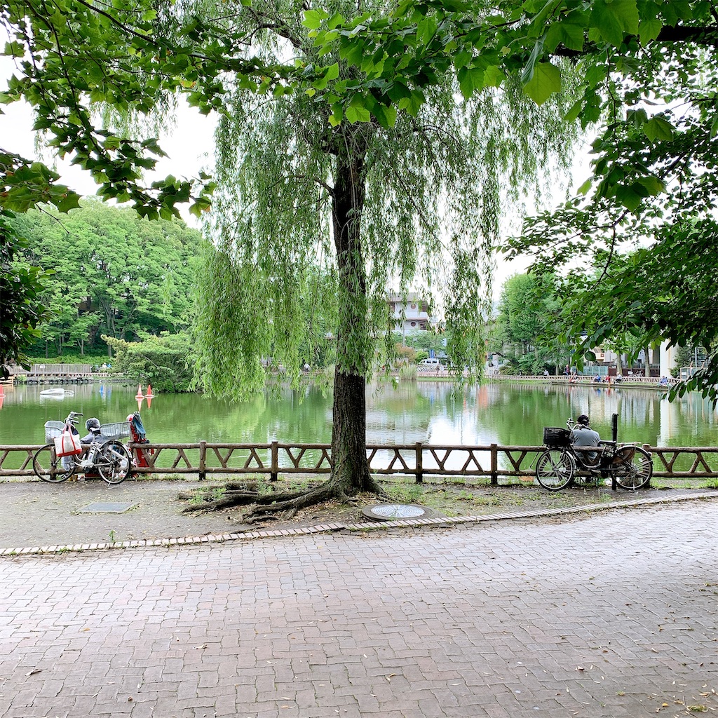 f:id:high-ho:20200523144914j:image