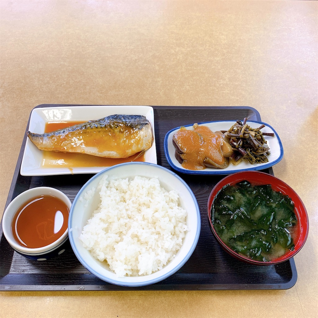 f:id:high-ho:20200610140929j:image