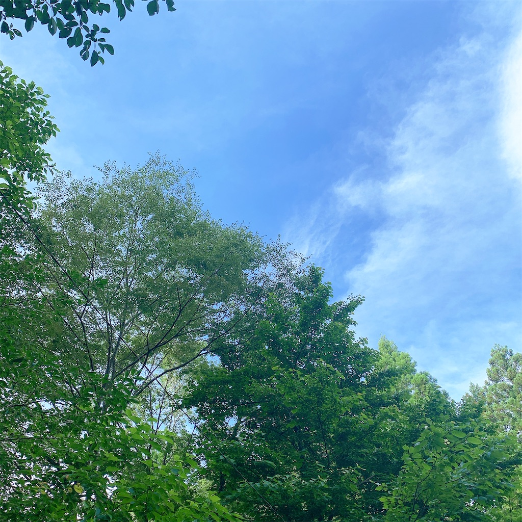 f:id:high-ho:20200714190336j:image