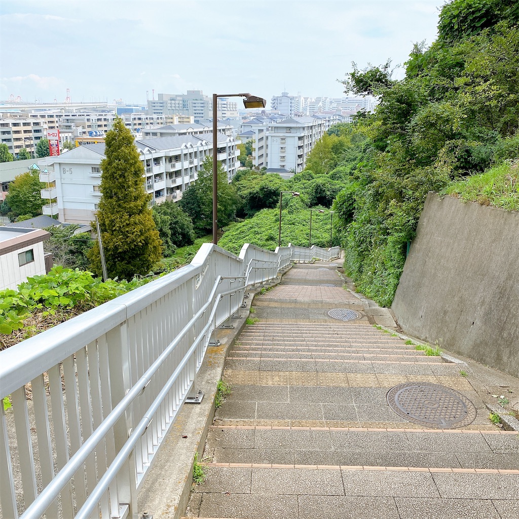 f:id:high-ho:20200917142203j:image