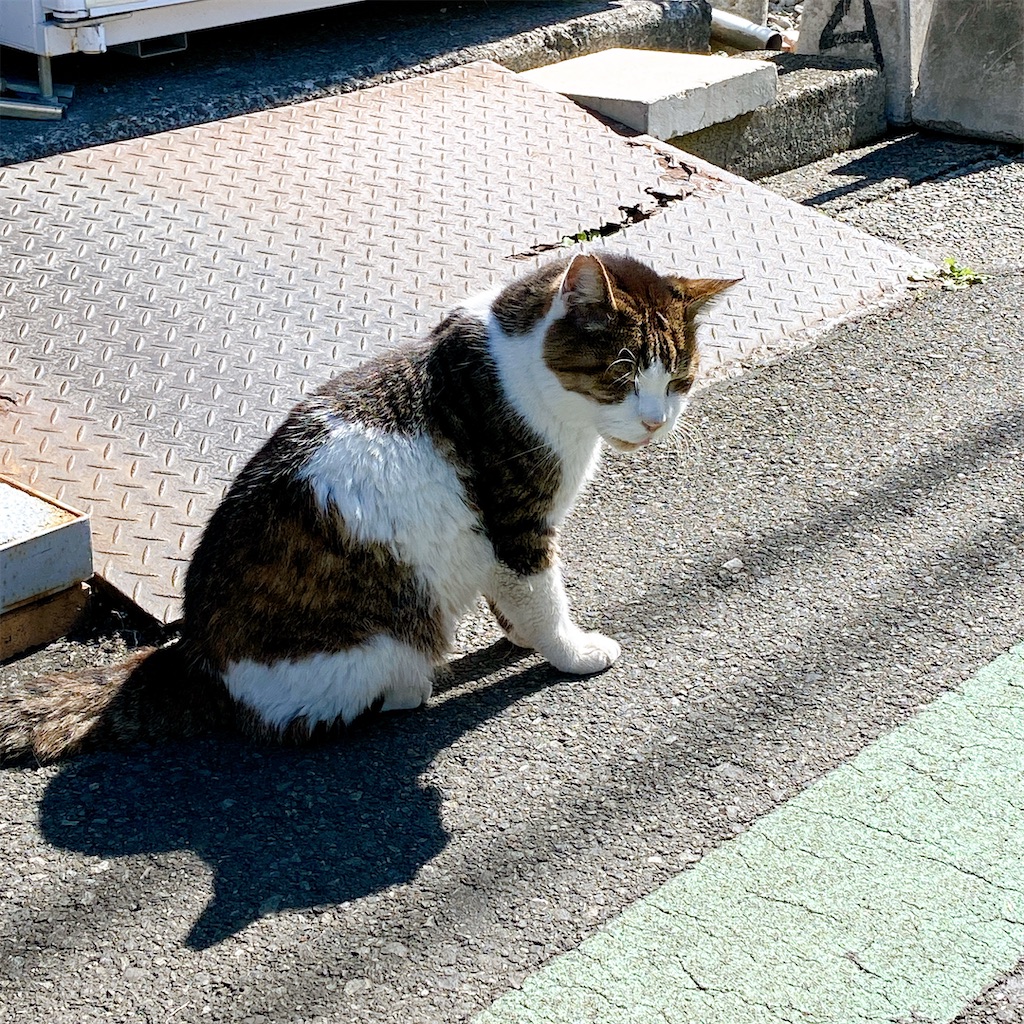 f:id:high-ho:20201028122548j:image