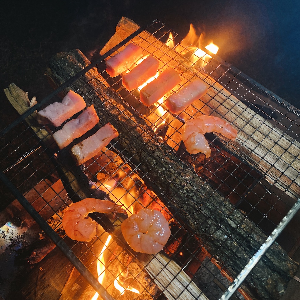 f:id:high-ho:20201108201635j:image