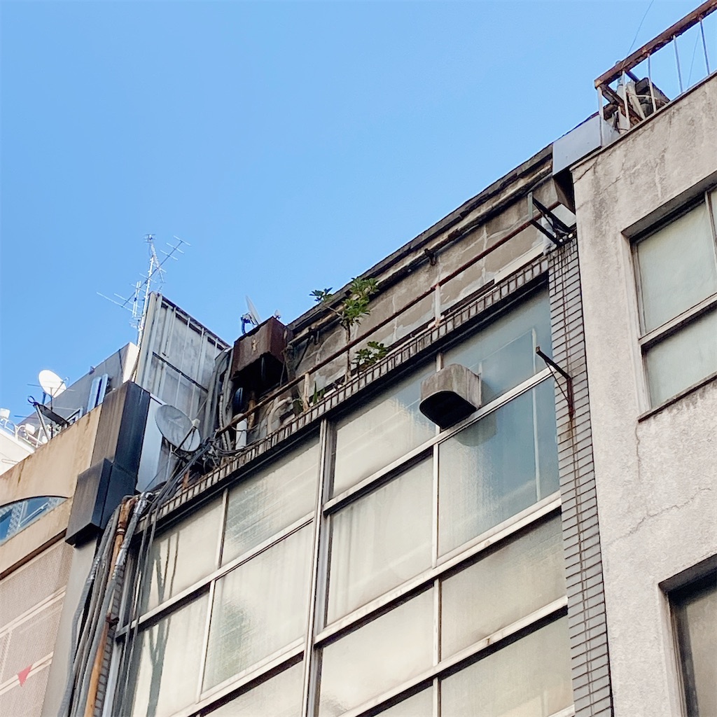 f:id:high-ho:20210107145653j:image