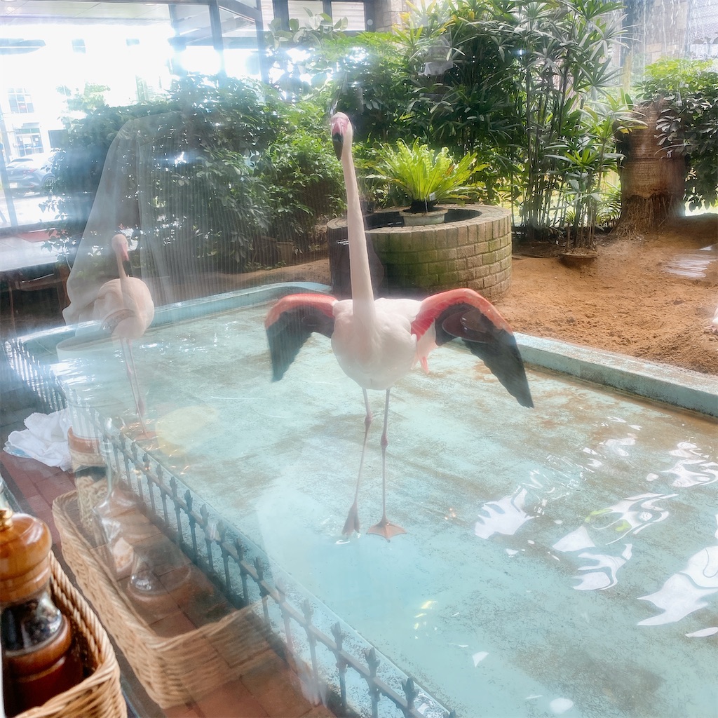 f:id:high-ho:20210516114747j:image