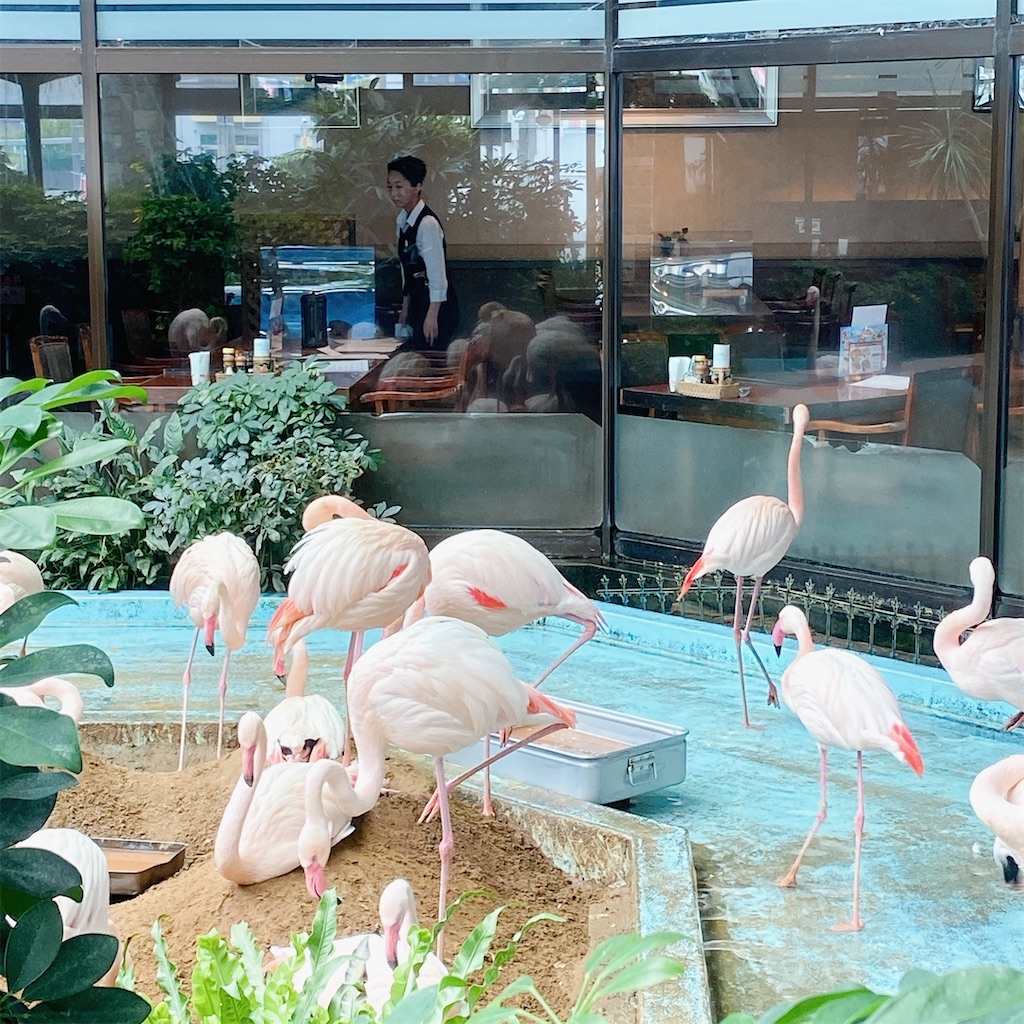 f:id:high-ho:20210516114930j:image