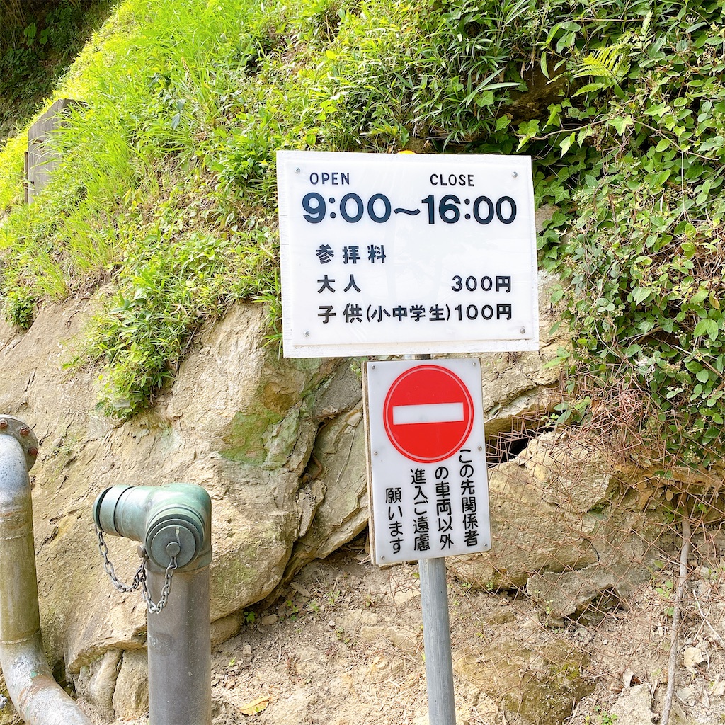 f:id:high-ho:20210612135939j:image