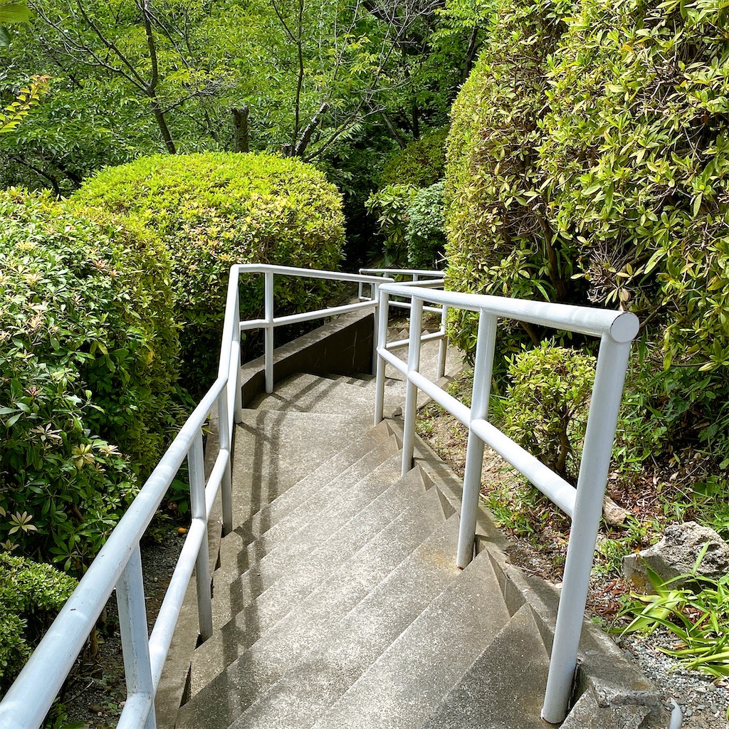 f:id:high-ho:20210612140045j:image