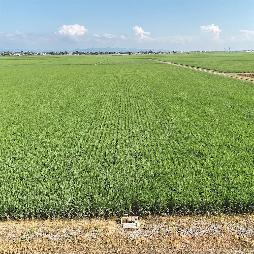 f:id:high-ho:20210722190715j:image