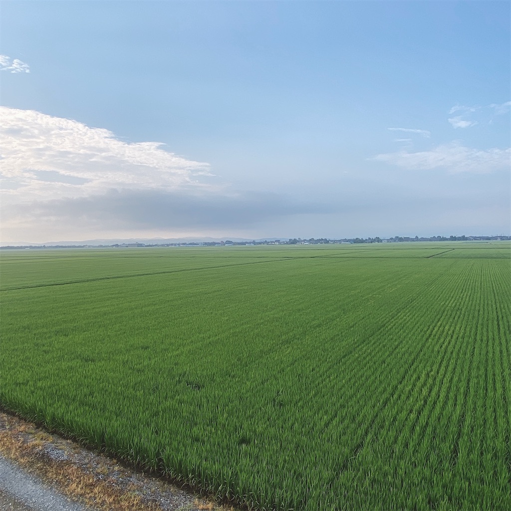 f:id:high-ho:20210726004830j:image