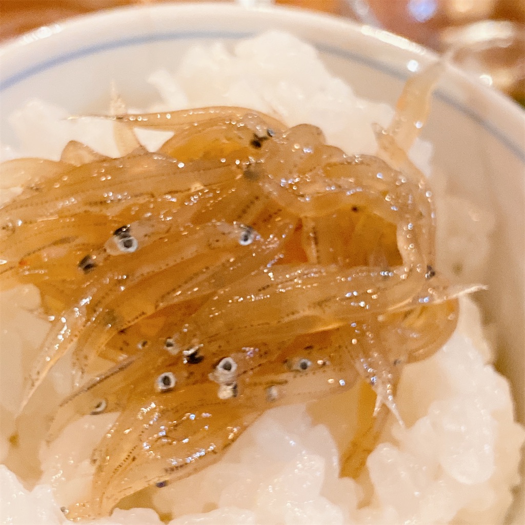 f:id:high-ho:20211108151322j:image