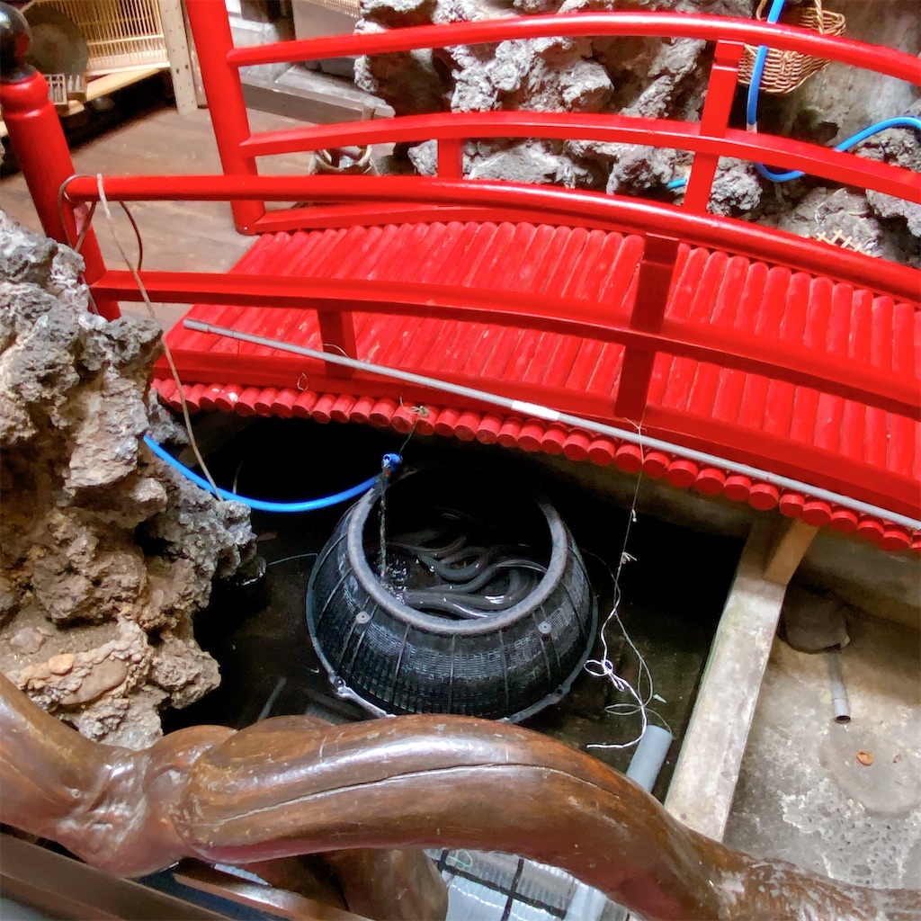 f:id:high-ho:20220515123158j:image