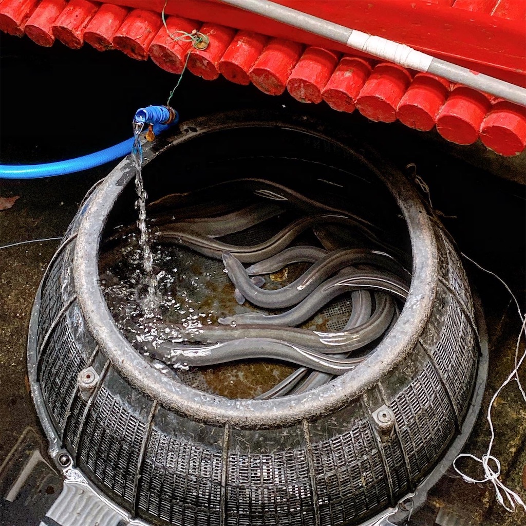 f:id:high-ho:20220523200259j:image