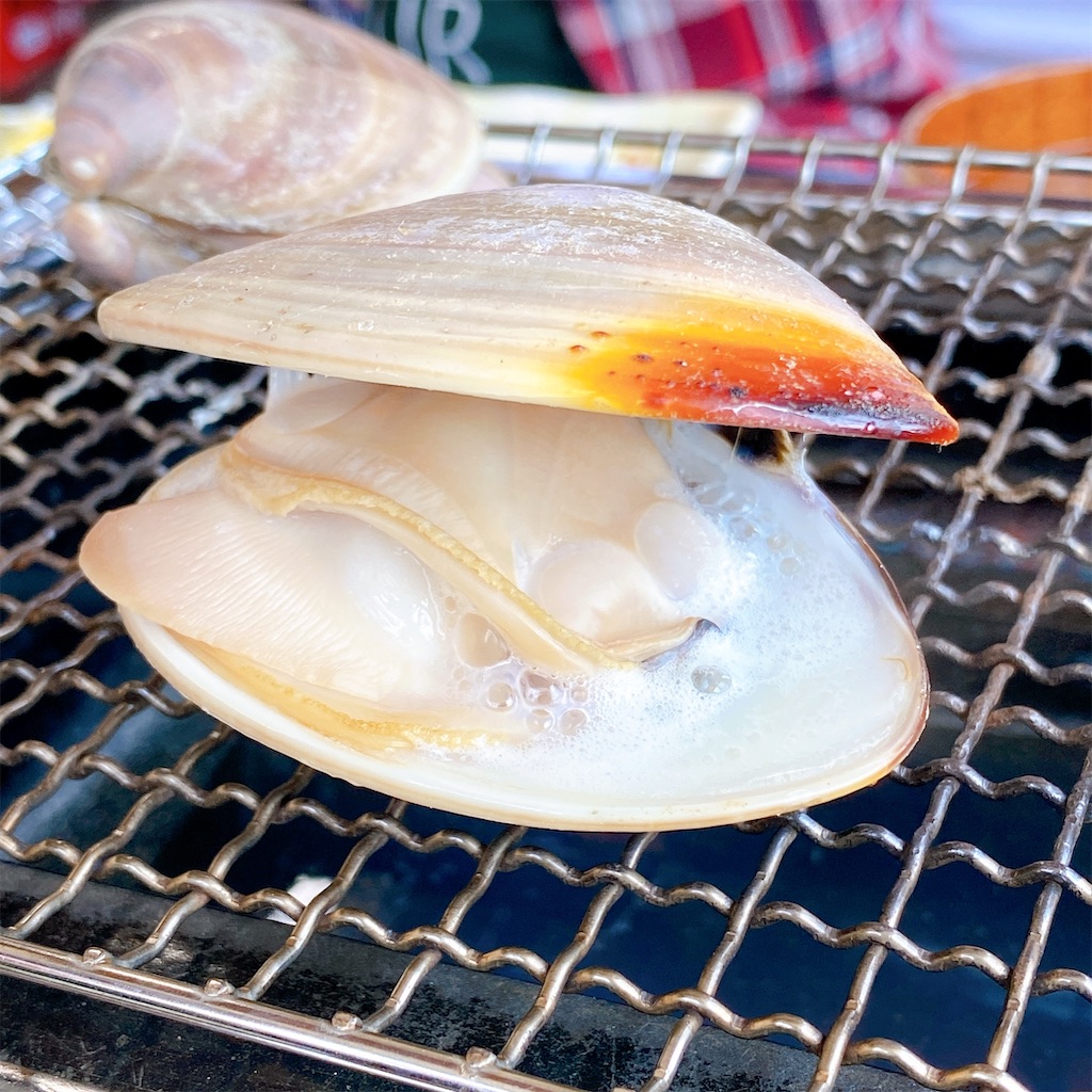 f:id:high-ho:20220707155811j:image