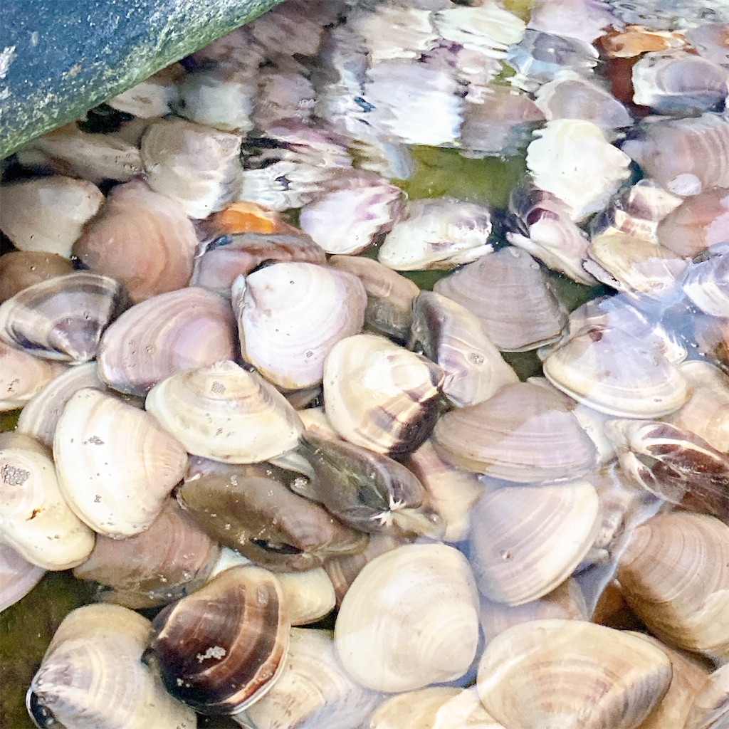 f:id:high-ho:20220707155847j:image