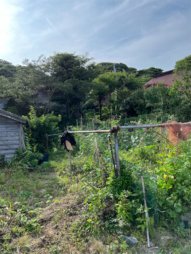 f:id:high-ho:20220818141240j:image