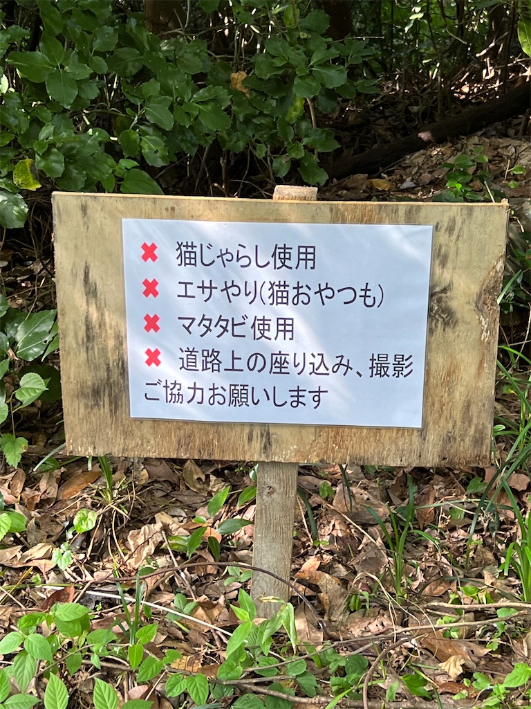 f:id:high-ho:20220818141323j:image