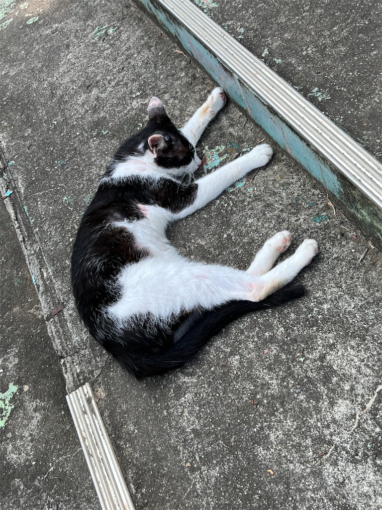 f:id:high-ho:20220818141326j:image