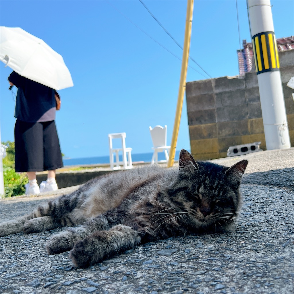 f:id:high-ho:20220818141409j:image