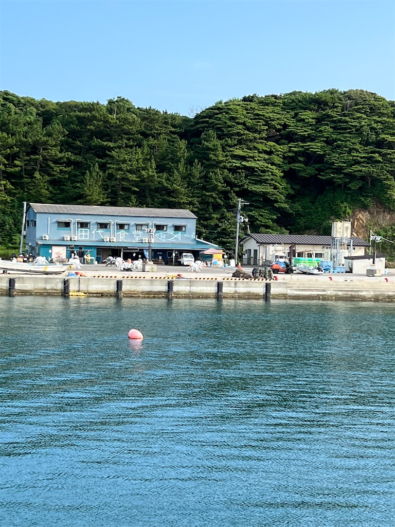 f:id:high-ho:20220818141412j:image