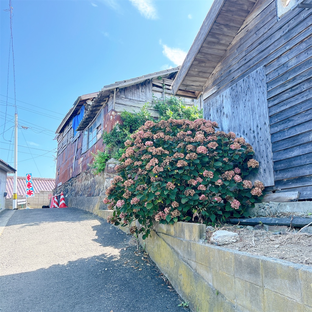 f:id:high-ho:20220818141415j:image