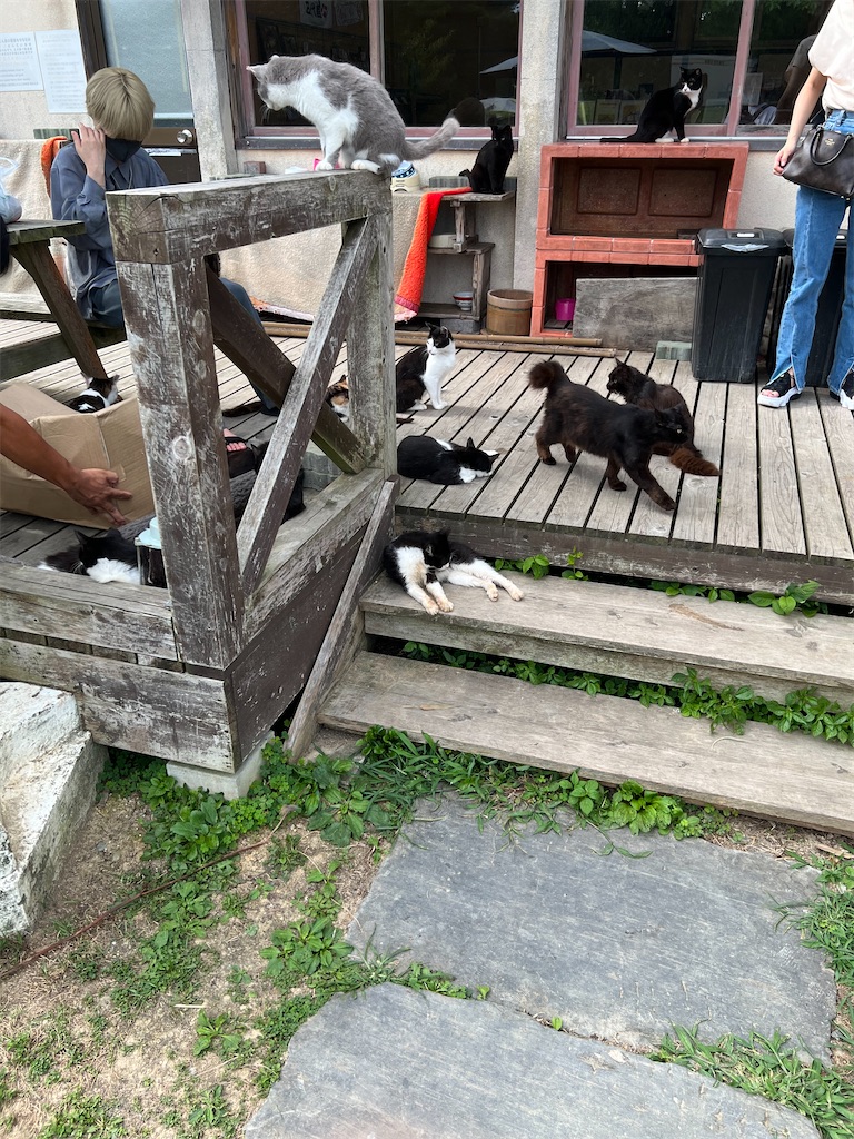 f:id:high-ho:20220818141419j:image