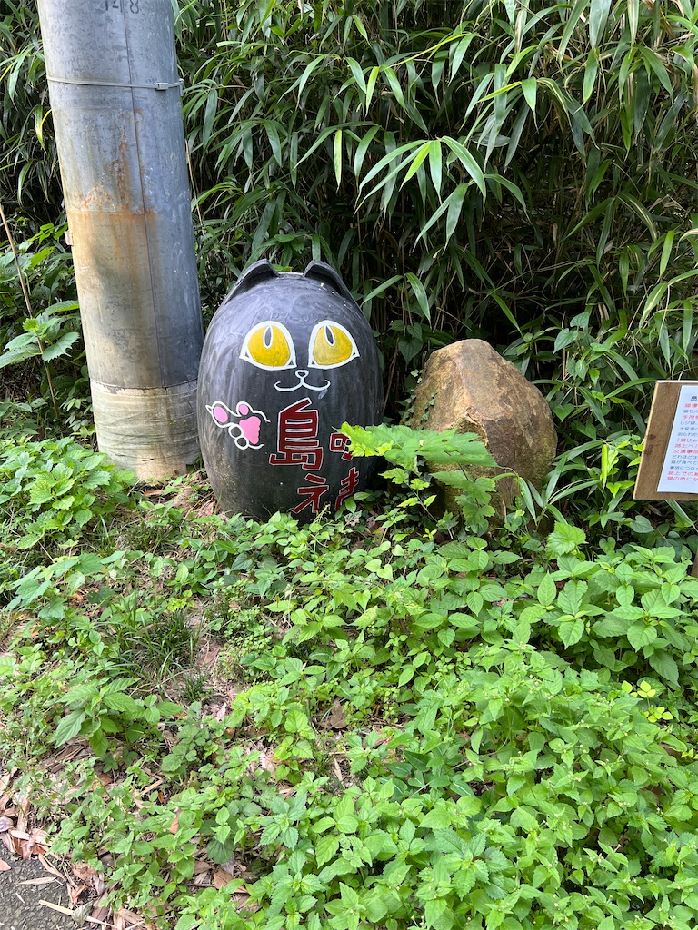 f:id:high-ho:20220818141444j:image